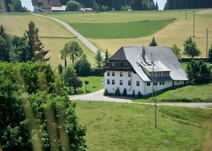 Gasthaus Pension Zum Löwen Grafenhausen