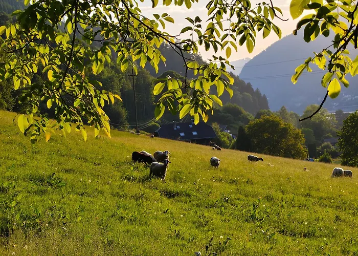 Blumenpension Strauss - Ferienwohnungen Ossiach