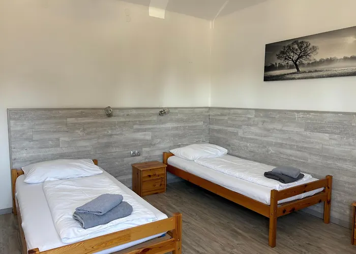 Hotel Makss Wels