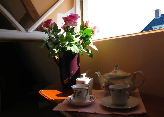 Hotel Wild Roses Amsterdam