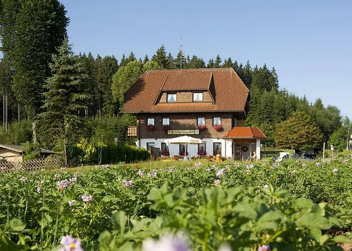 Gasthaus Schweizerhof Titisee-Neustadt
