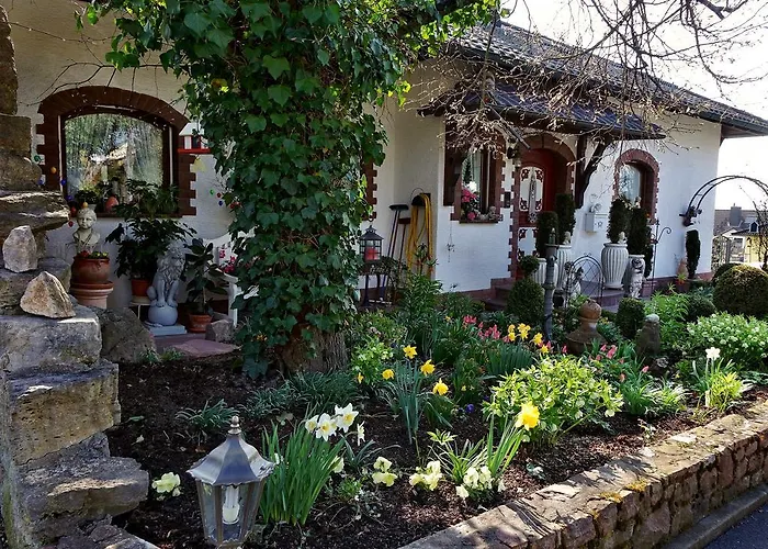 Hotel Haus Buena Vista Bad Kissingen