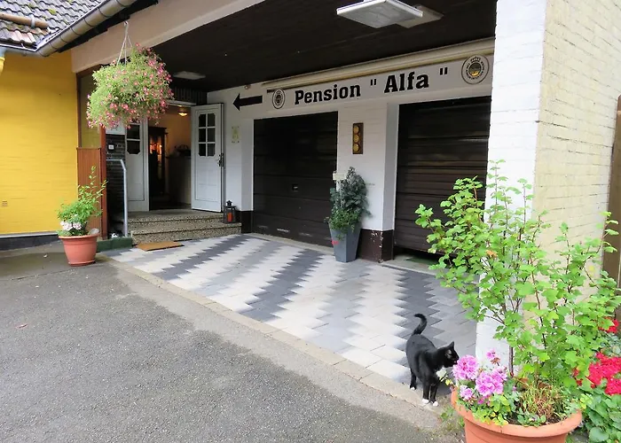 Pension Alfa Sankt Andreasberg