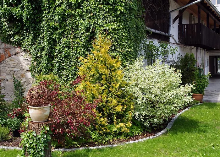 Altstadtpension Dietz Kelheim