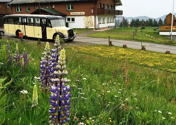 Berggasthof-Pension Todtnauer Hutte Feldberg 