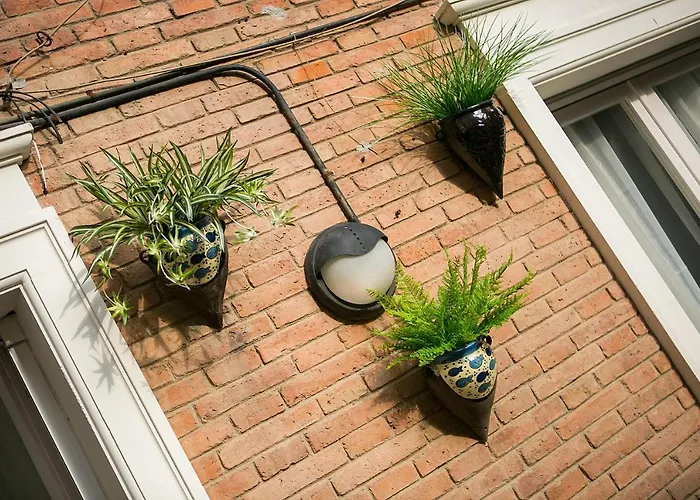 Blanc Guest House Barcelona