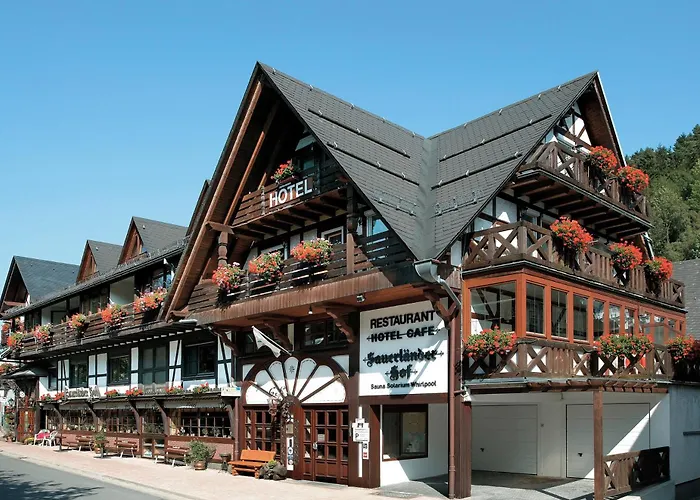 Hotel Sauerländer Hof Willingen 