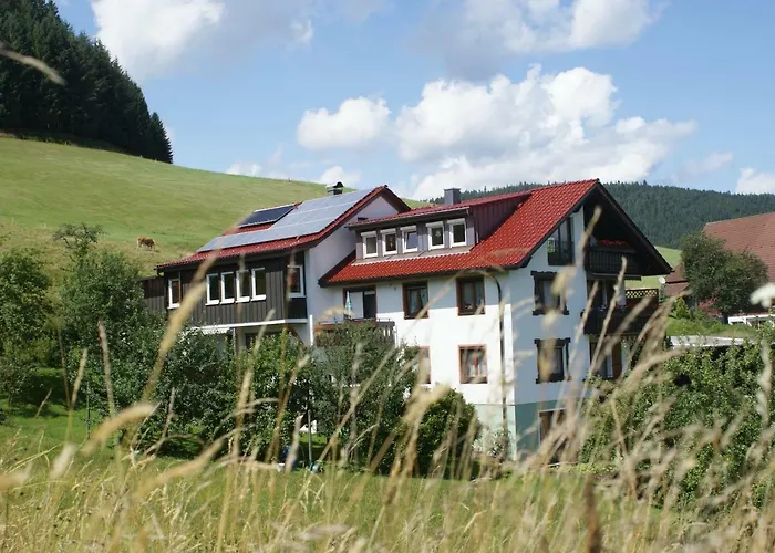 Pension Haus-Sommerberg Baiersbronn