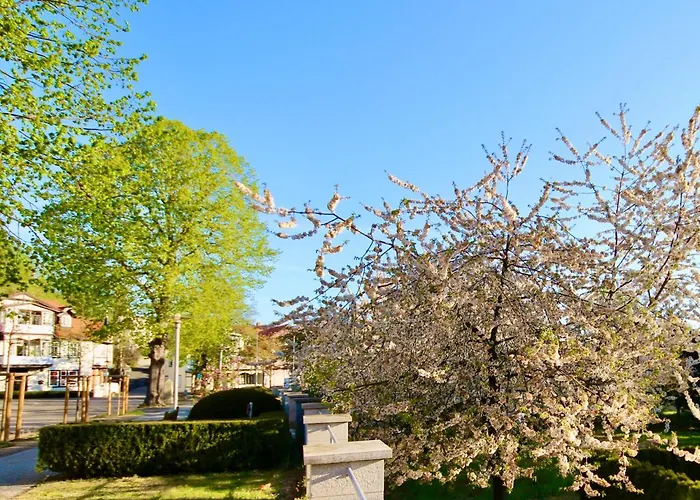 Pension Kurhausblick Bad Suderode